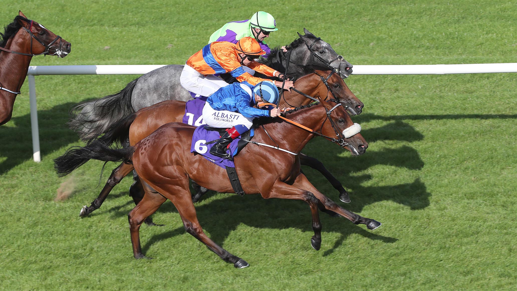 Understanding 55Club Point System for Horse Racing