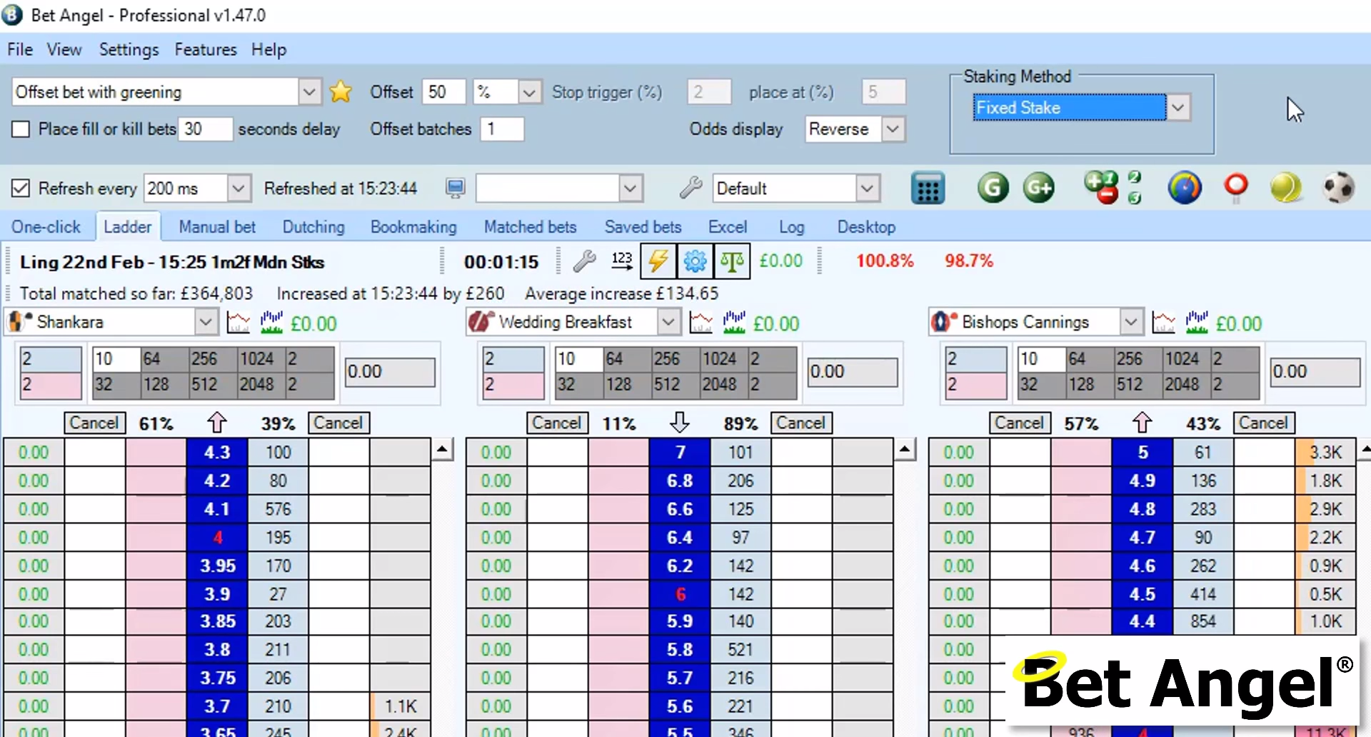 Bet Angel Trading Strategies – bet angel trading strategies