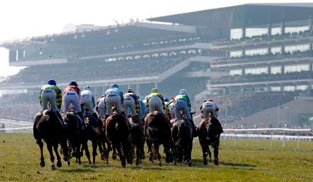 Cheltenham Festival