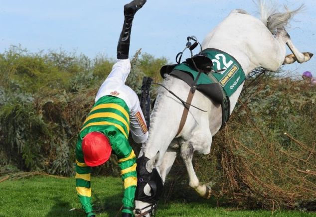 Horse racing faller